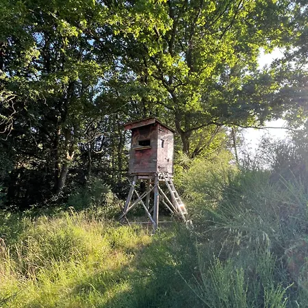 Auszeit *