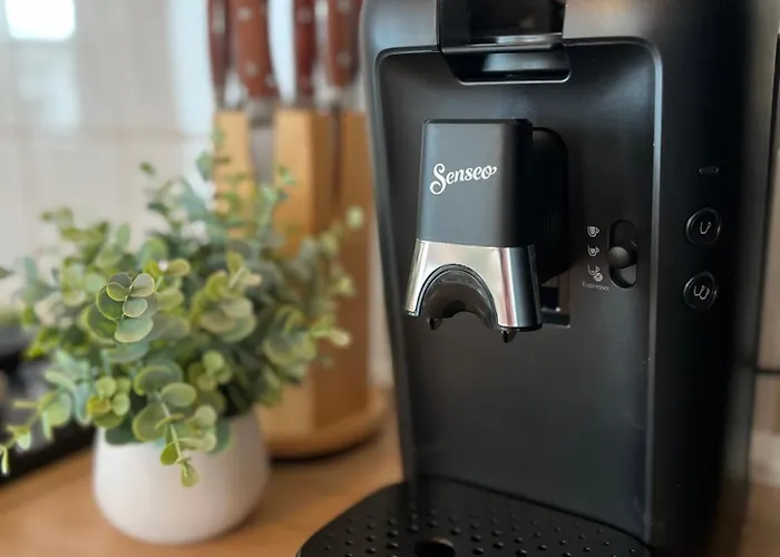 Auszeit Apartment Borod